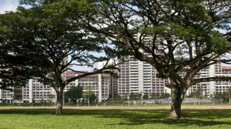 Bishan Ang Mo Kio Park