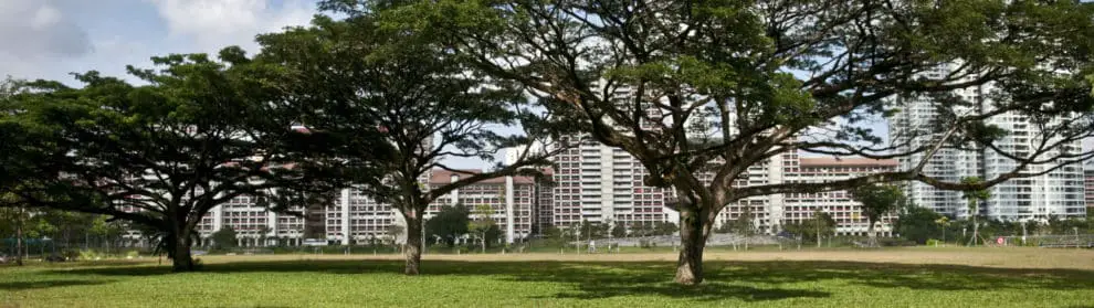 Bishan Ang Mo Kio Park