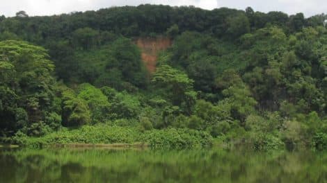 Hindhede Quarry Nature Park