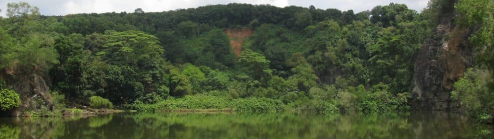 Hindhede Quarry Nature Park