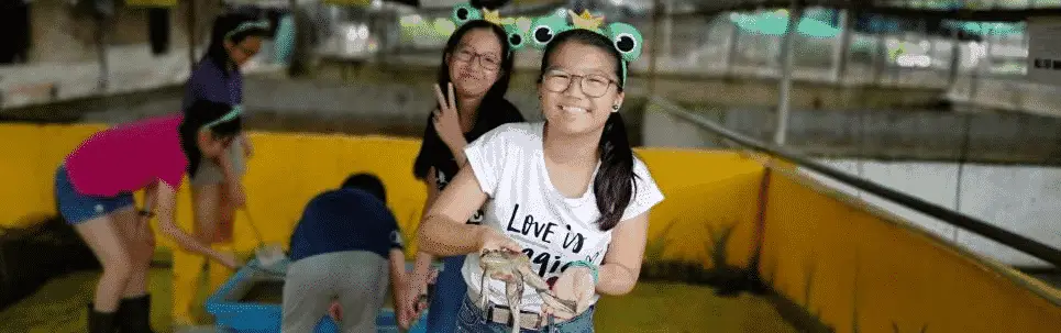 Jurong Frog Farm