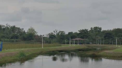 Lorong Halus Wetland