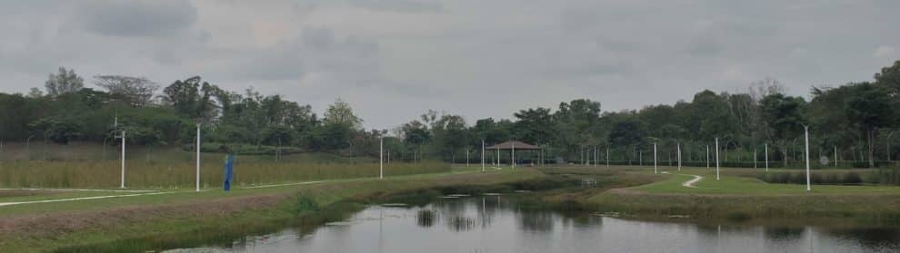 Lorong Halus Wetland