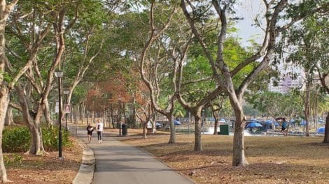 Pasir Ris Town Park