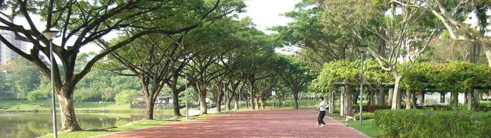 Punggol Park