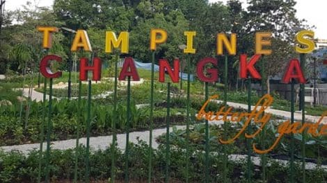 Tampines Changkat Butterfly Garden