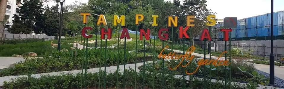 Tampines Changkat Butterfly Garden