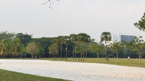 West Coast Park