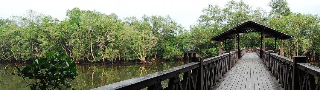 7 Underrated Spots In Singapore To Go On Your Next Visit 7 Underrated Spots In Singapore To Go On Your Next Visit