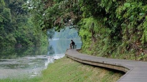 Macritchie Nature Trail