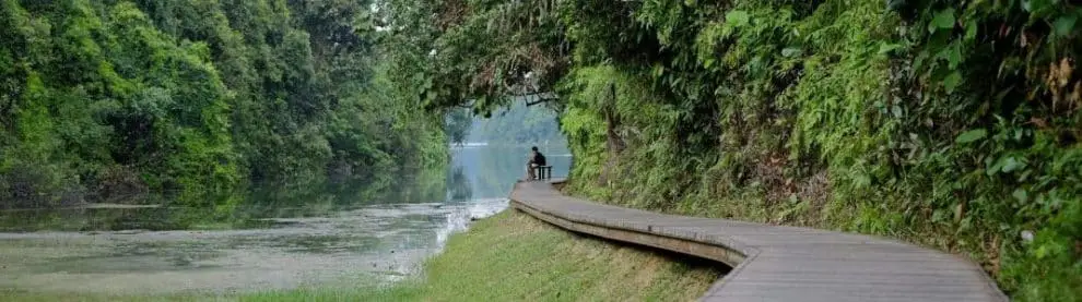 Macritchie Nature Trail