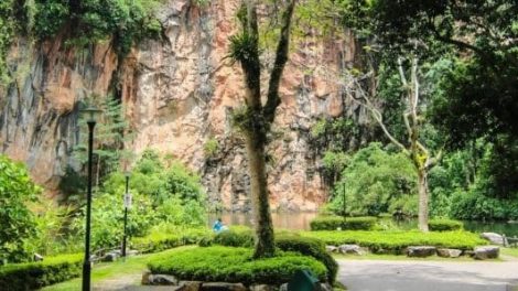 Bukit Batok Nature Park