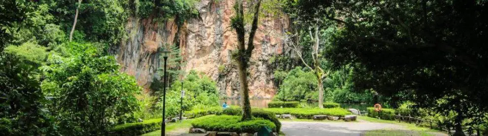 Bukit Batok Nature Park