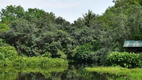 Sungei Buloh Wetland Reserve