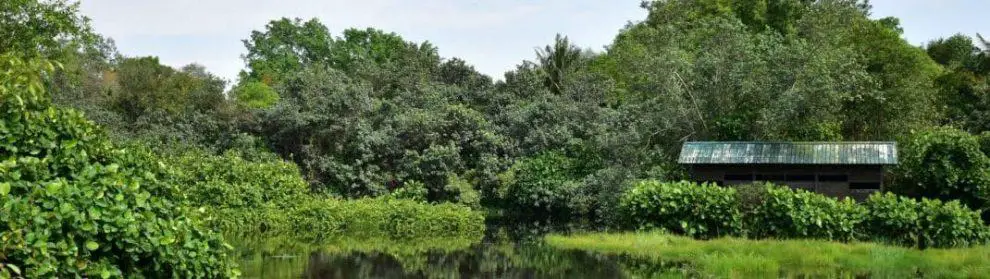 Sungei Buloh Wetland Reserve