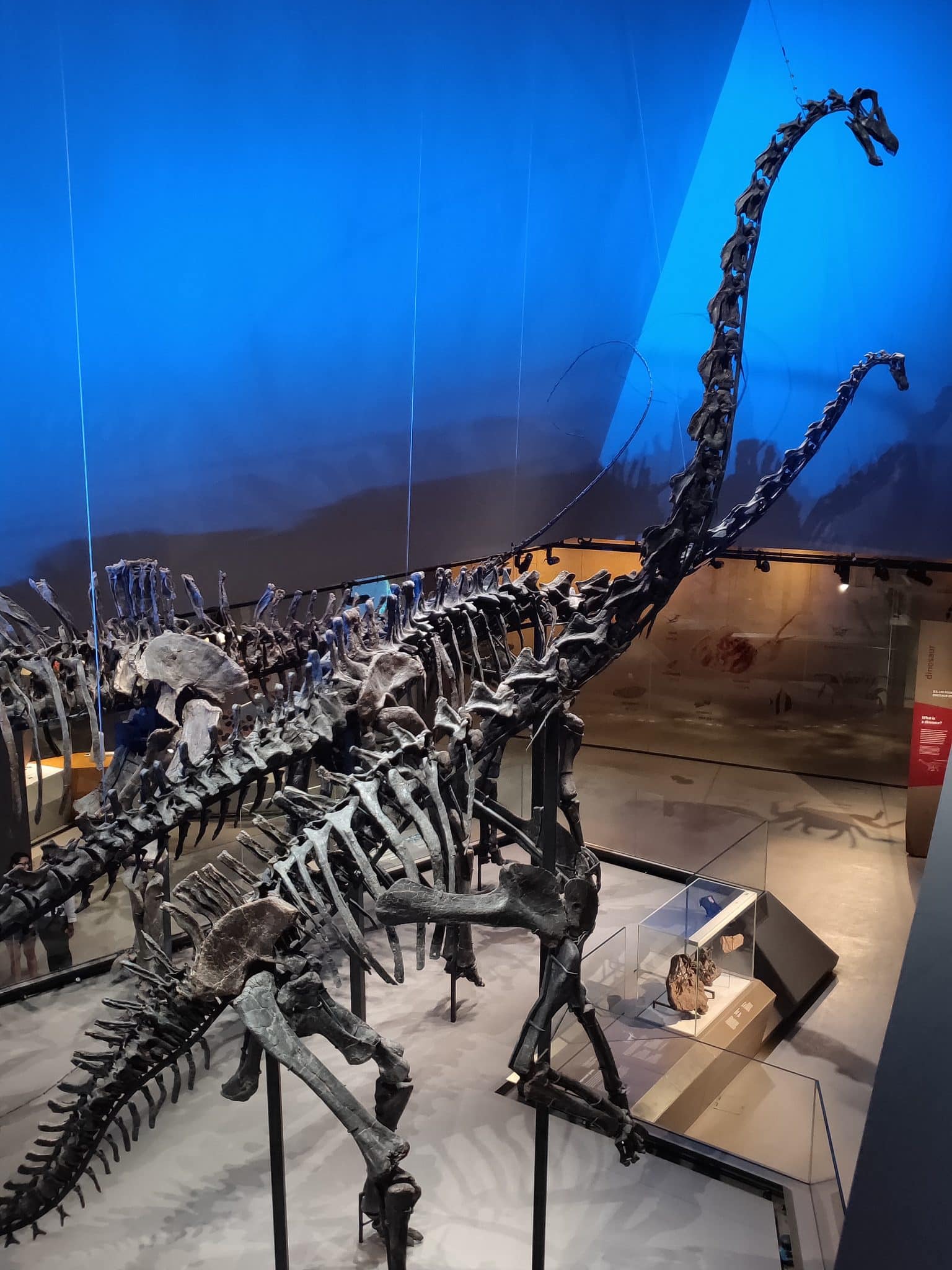 lee kong chian dinosaur