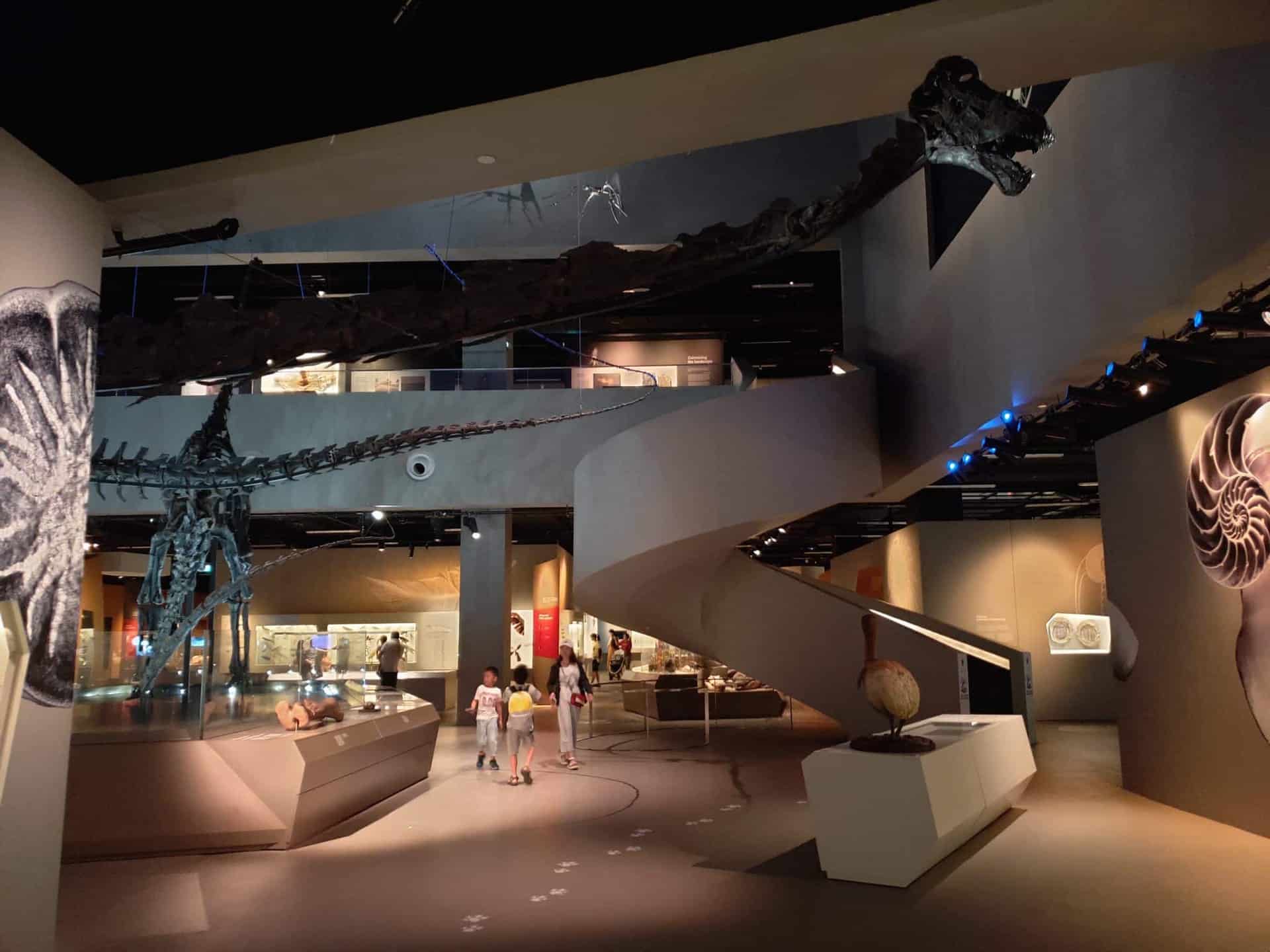 lee kong chian museum dinosaur