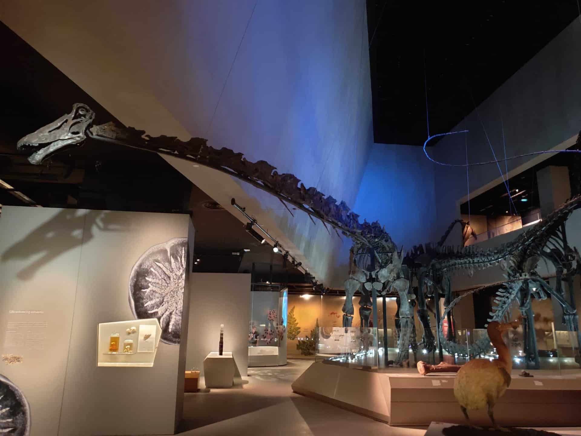 lee kong chian museum dinosaur