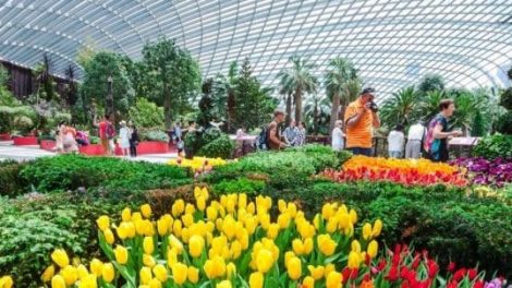 Flower Dome