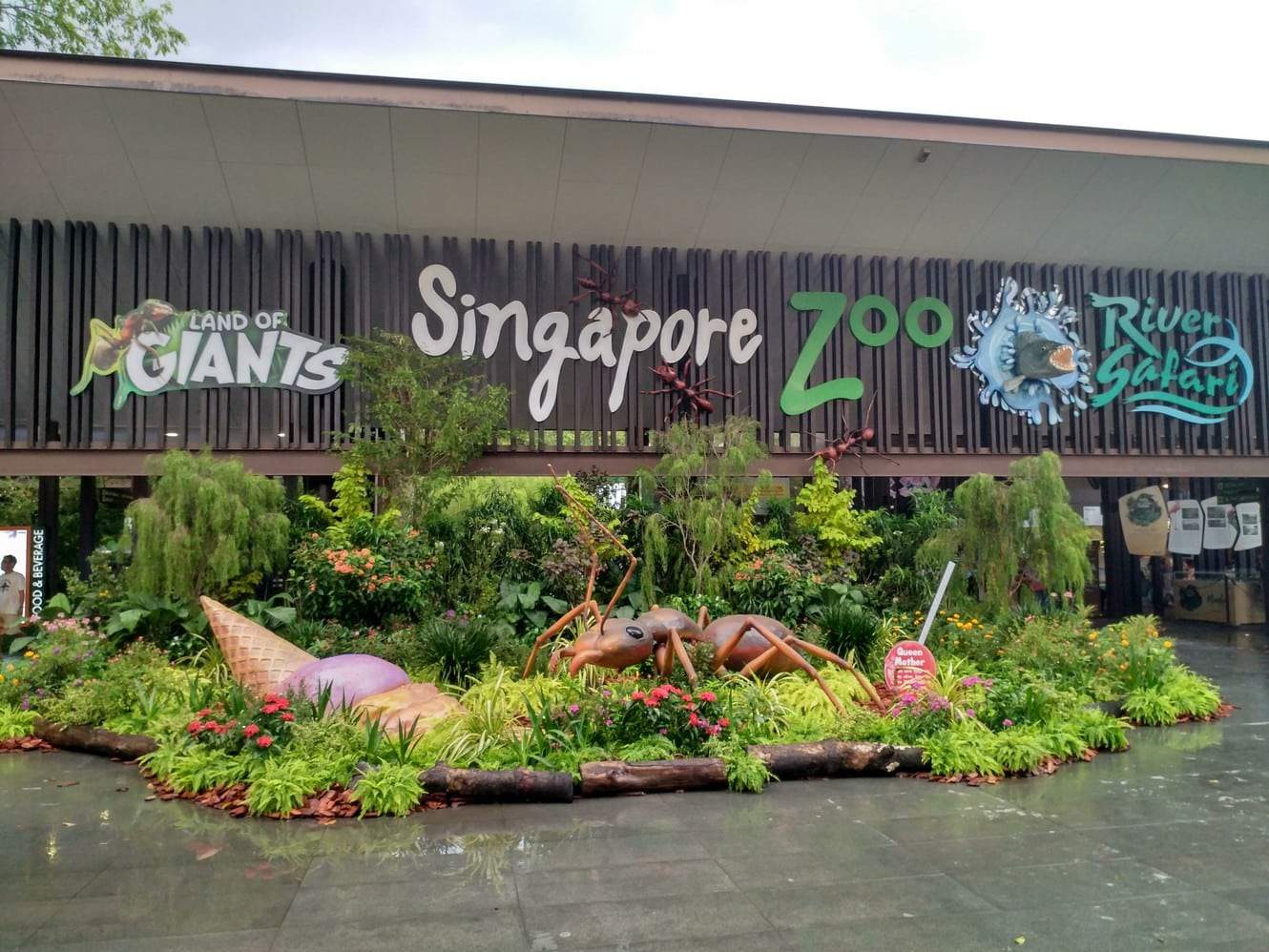 river safari tickets 1 for 1 singapore zoo