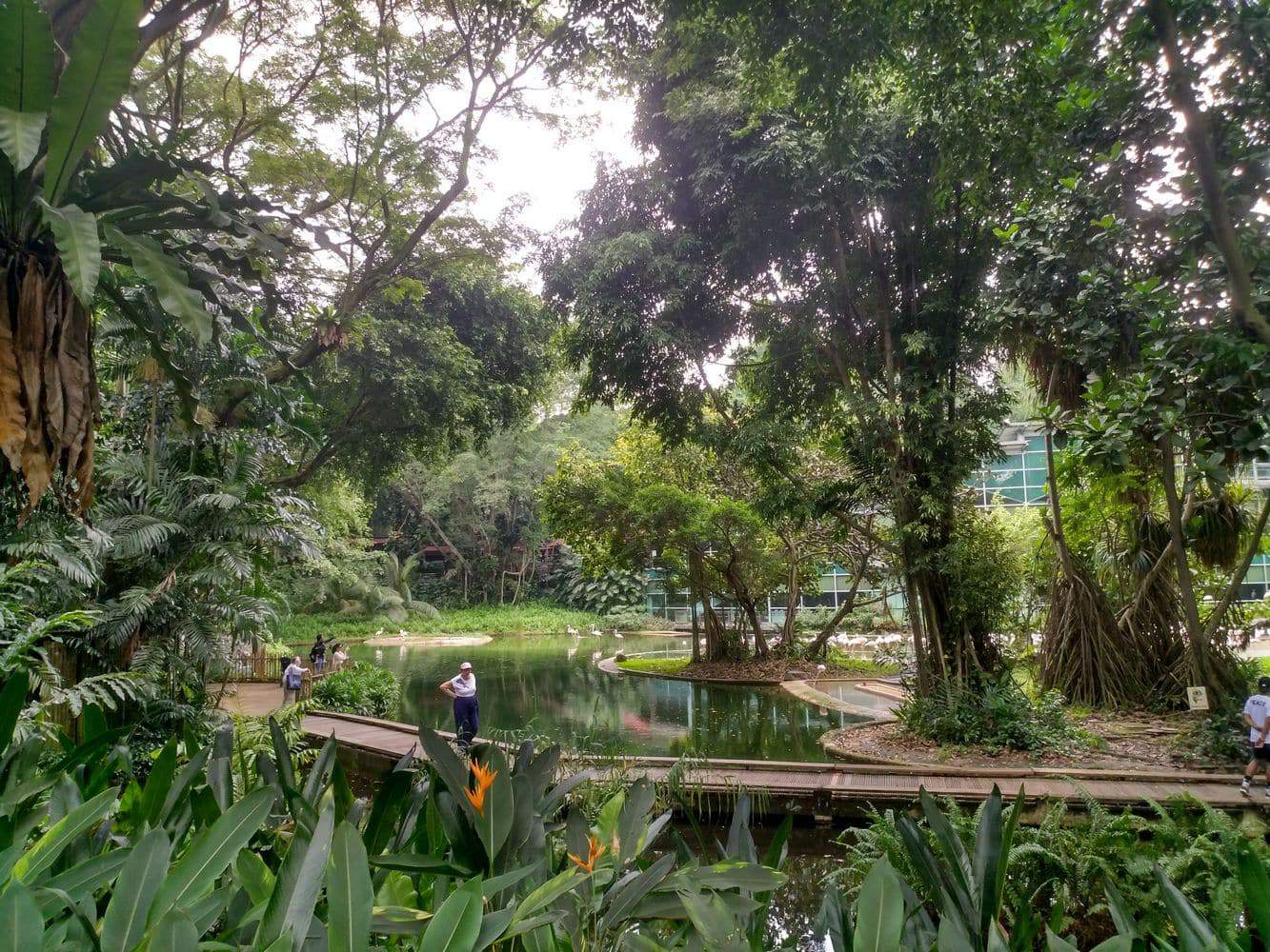Jurong Bird Park Singapore - Opening Hours, Ticket Prices ...