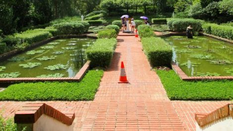 Singapore Botanic Gardens