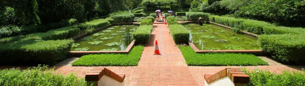 Singapore Botanic Gardens