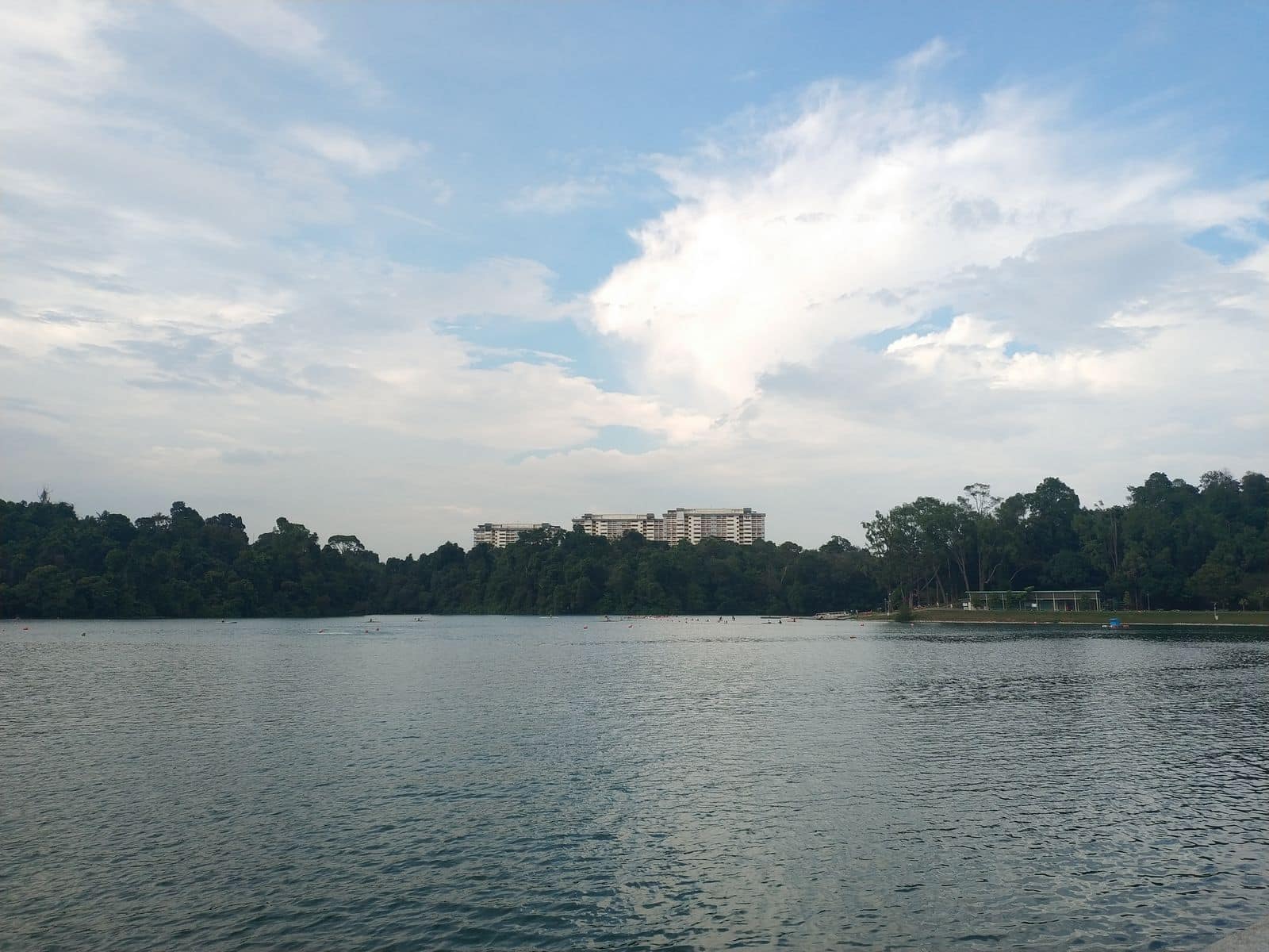 MacRitchie Reservoir & Nature Trail Walk - Park Map, Singapore