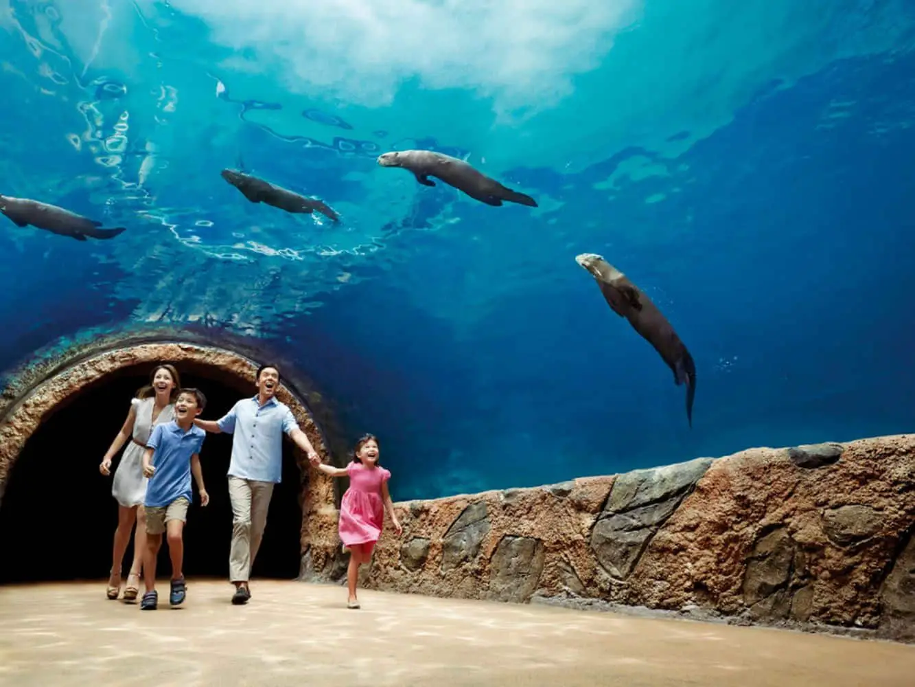 singapore zoo and river safari