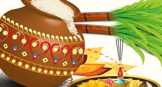Pongal Harvest Festival