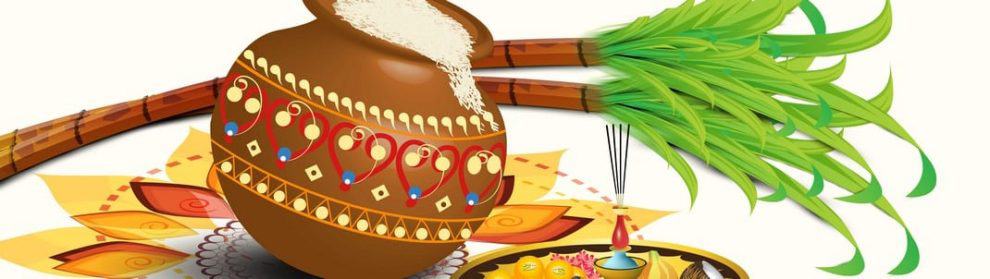 Pongal Harvest Festival