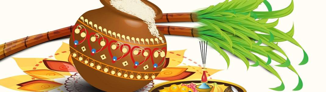 Pongal Harvest Festival - 2025 Dates & Locations, Singapore