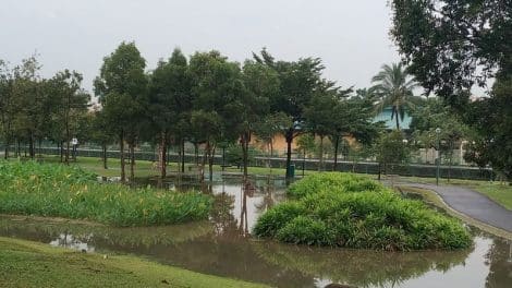 Jurong Central Park