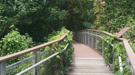 Sentosa Nature Discovery