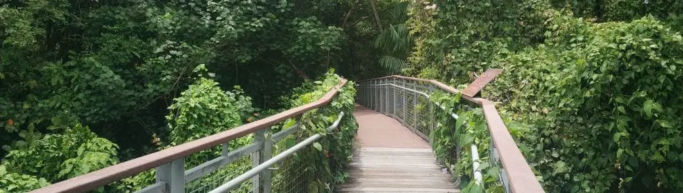 Sentosa Nature Discovery