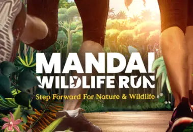 Mandai Wildlife Run 1