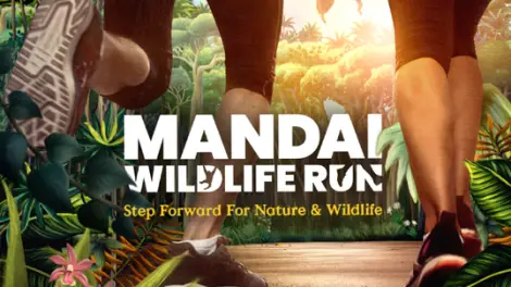 Mandai Wildlife Run 1